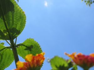 IMG_2063